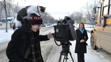Un chat farceur provoque le fou rire d'une journaliste canadienne