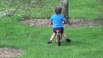 Cet enfant fonce avec son vélo dans un arbre et son père rit aux éclats !