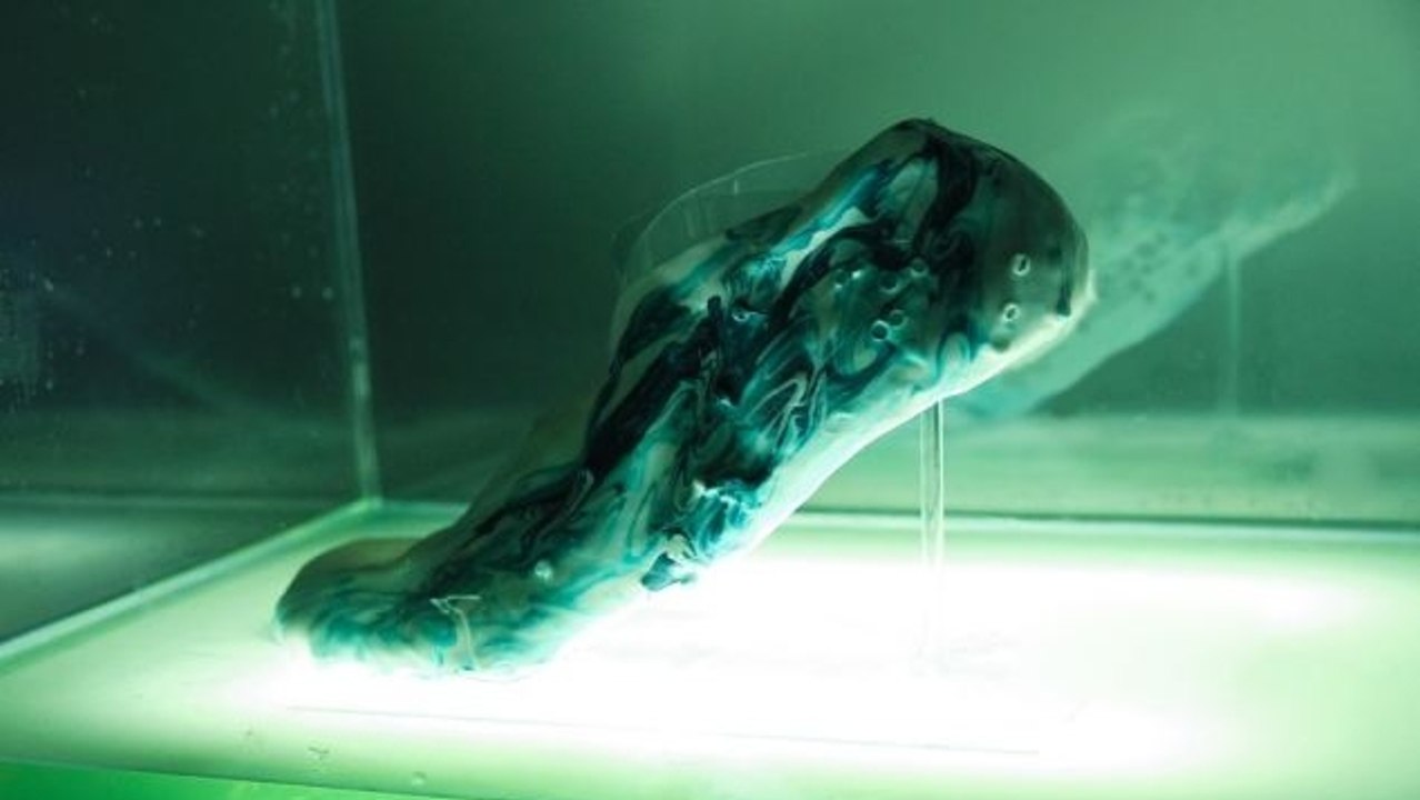 Amoeba Shoes : Découvrez les chaussures  "vivantes" de Shamees Aden