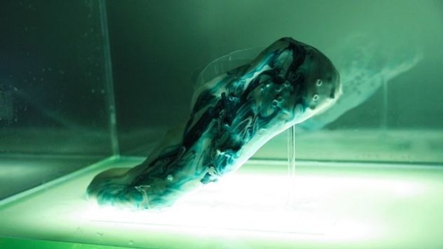 Amoeba Shoes : Découvrez les chaussures vivantes de Shamees Aden