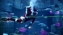 Le Père Noël s'offre un plongeon dans l'aquarium de Paris