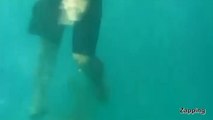 Un plongeur mordu par un requin alors qu'il était filmé par des amis
