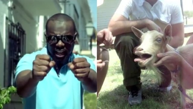 Bella (Chèvre edition) : L'hilarante parodie de Maître Gims