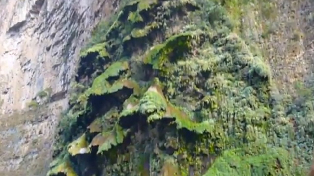 Au Mexique, cette magnifique cascade ressemble à un sapin de Noël