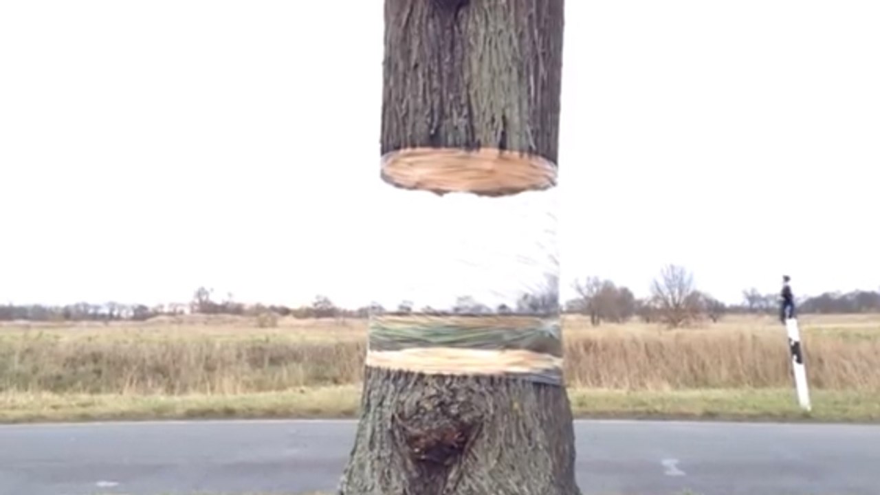 Illusion d'optique : Non, ce tronc d'arbre n'a pas été coupé en deux !