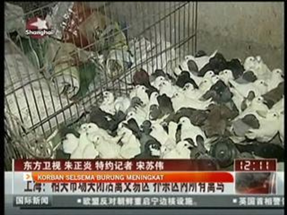 Korban selesema burung meningkat