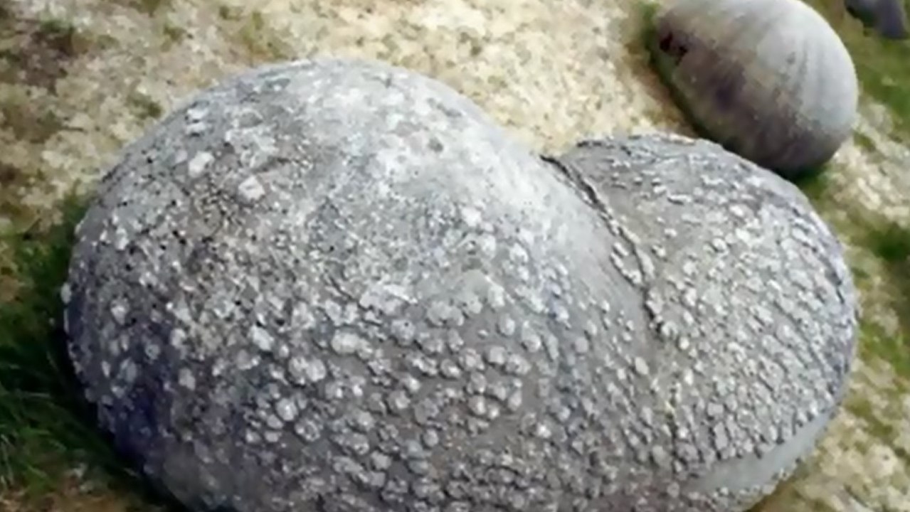 En Roumanie, des pierres vivantes deviennent l'une des attractions principales du pays