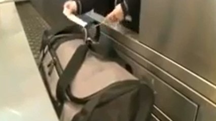 L'incroyable périple des bagages à l'aéroport de Heathrow de Londres