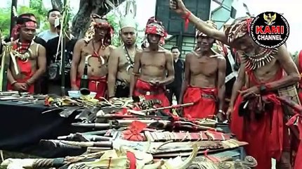 BERITA TERKINI - WARGA DAYAK TAU SIAPA SOSOK PELAKU DAN KELOMPOKNYA