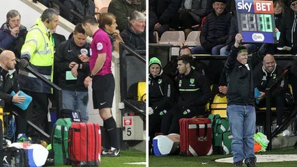 Un supporter de Norwich remplace le quatrième arbitre en plein match, et il se fait plaisir !