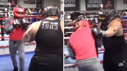 Le sparring entre Mikey Garcia et un boxeur de plus de 130kg n'a pas duré longtemps !