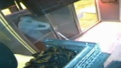 Découvrez le cambrioleur le plus idiot du monde