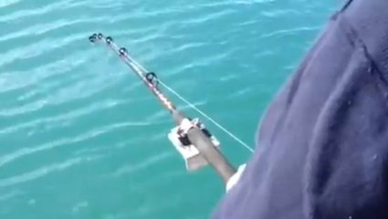 En voulant attraper un poisson, il se retrouve nez à nez avec une plus grosse surprise