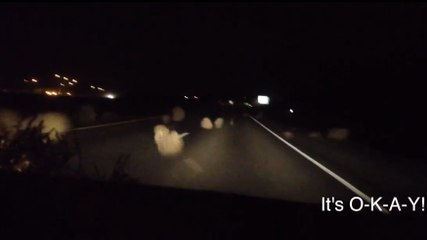 Un homme pris d'un fou rire alors que sa copine est terrifiée face à des virevoltants