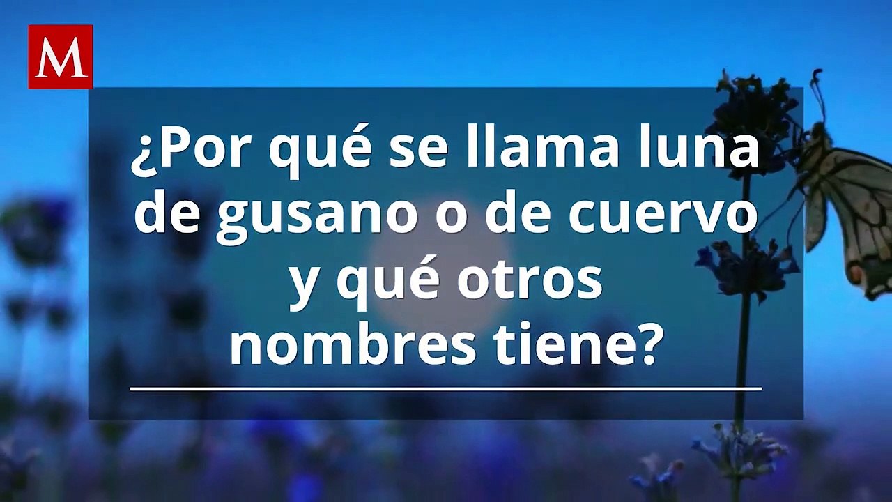 ¿Qué es la luna de gusano y por qué se llama así?