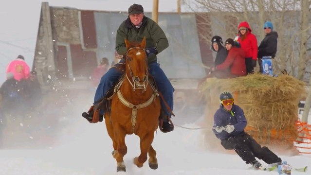 Le Ski Joëring, le sport où on skie en se faisant tracter par un cheval