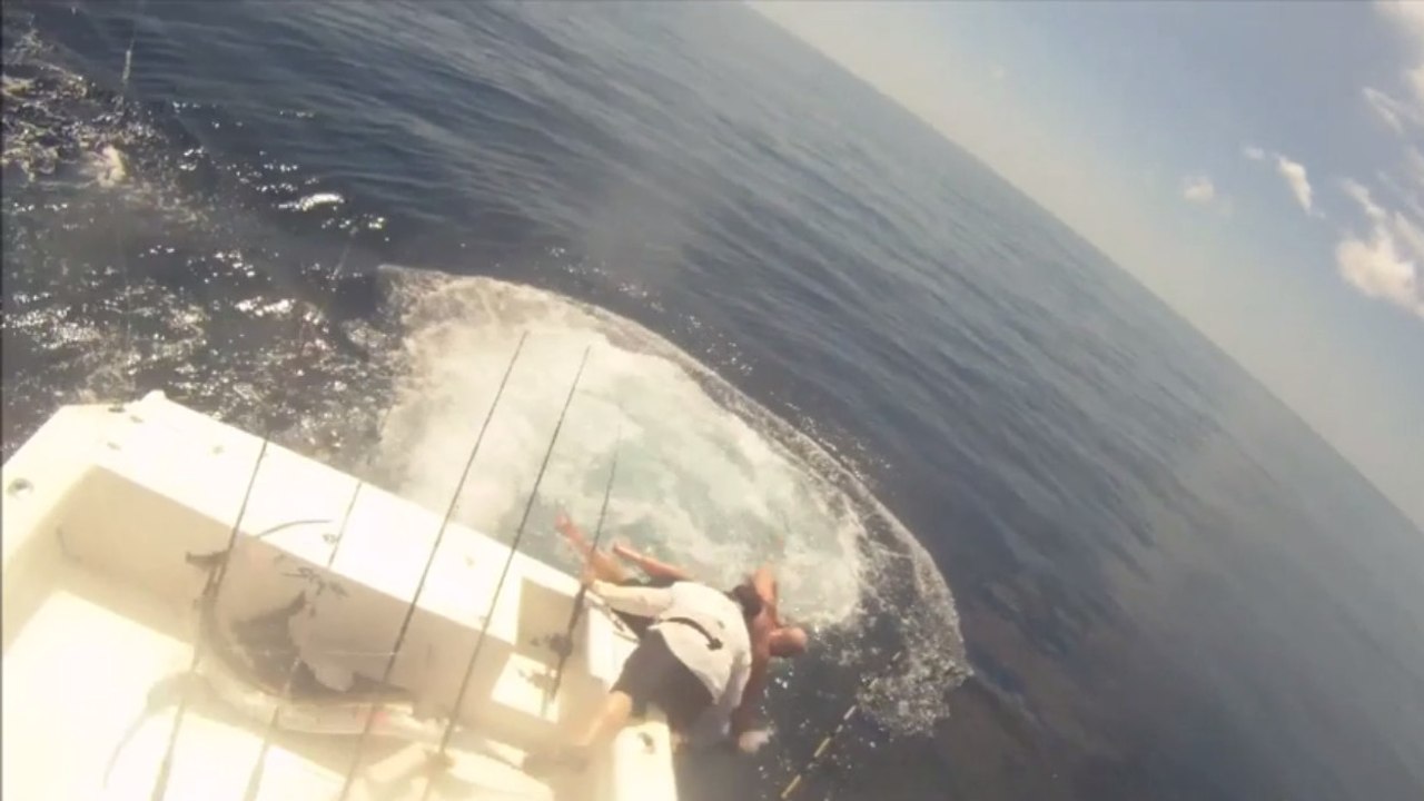 Un marlin saute sur le pont d'un bateau, les deux pêcheurs se jettent à la mer