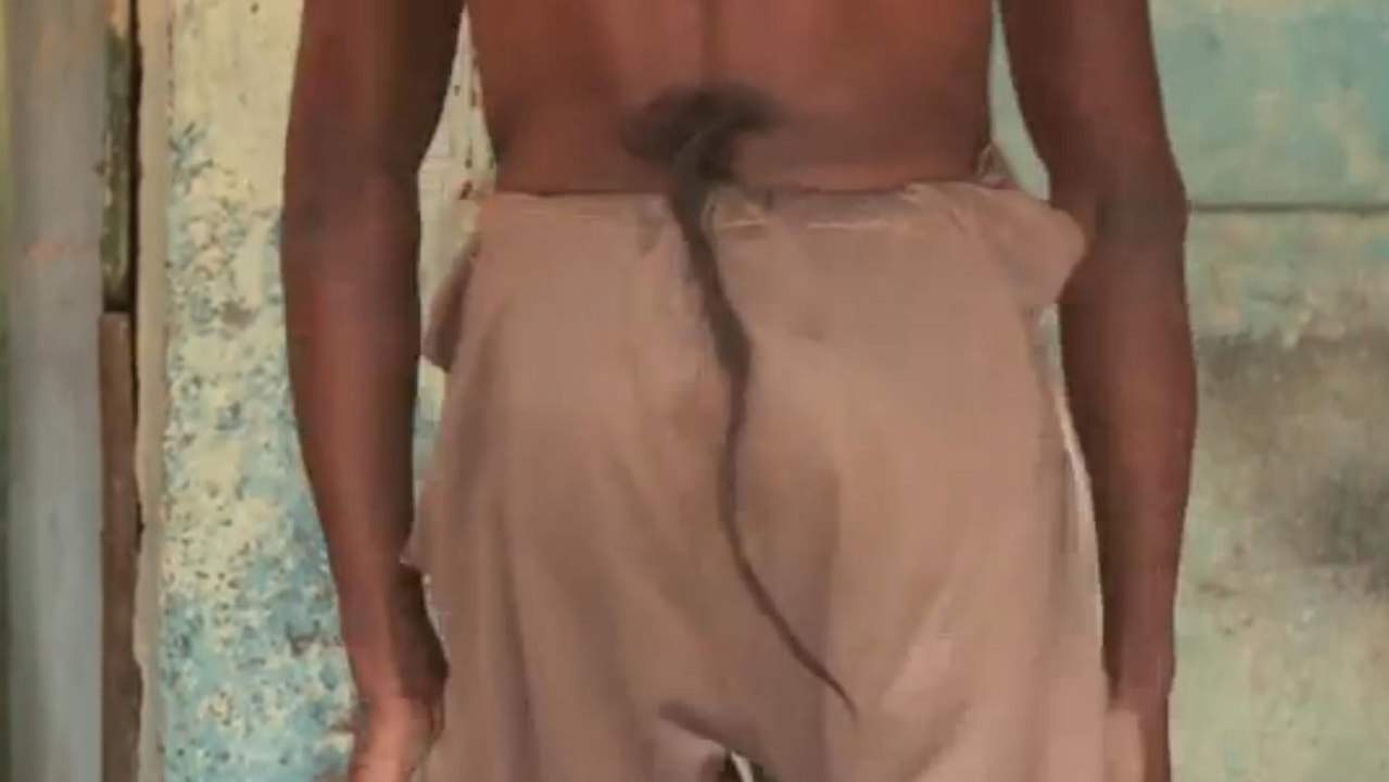 Doté d'une queue de 36cm, il est considéré comme un dieu vivant en Inde