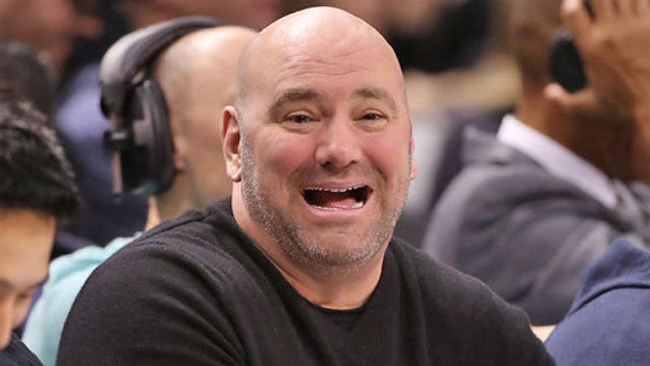 Le président de l'UFC Dana White regarde le combat Wilder vs Ortiz pendant l'UFC 222