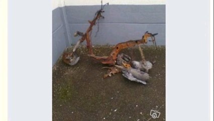 Le Bon Coin : la photo de cette annonce pour un scooter a un petit problème