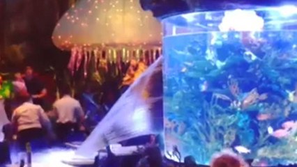 Disney World : Un aquarium géant explose et provoque la panique dans un restaurant