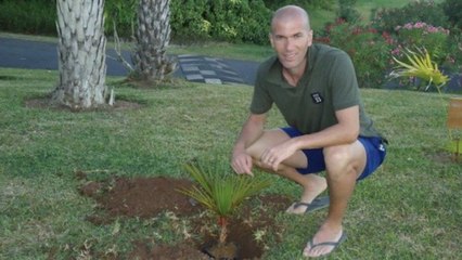 Ce que Zidane peut encore gagner pour entrer un peu plus dans la légende