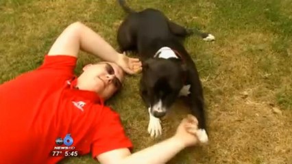 En appelant les secours au téléphone, ce chien a sauvé la vie de son maître militaire