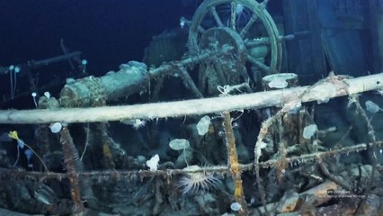 Hilang Selama Ratusan Tahun, Bangkai Kapal Endurance Ditemukan di Laut Antartika