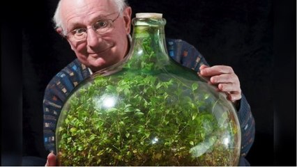 Un jardin se développe dans une bouteille fermée depuis plus de 50 ans !