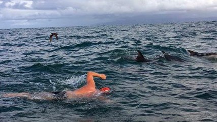 Menacé par un requin en pleine mer, Adam Walker est sauvé par des dauphins