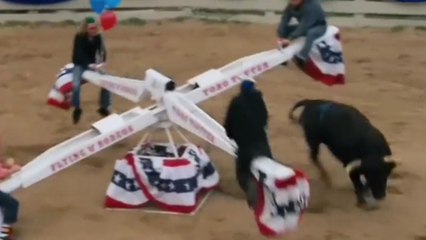 Perchés sur un tourniquet, ils mettent leur vie en danger avec un taureau