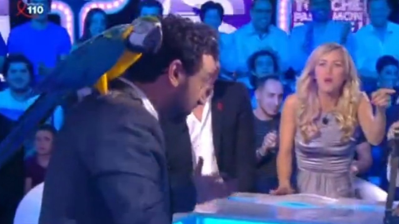 Touche pas à mon poste : Cyril Hanouna danse avec un perroquet et se moque de Steevy Boulay