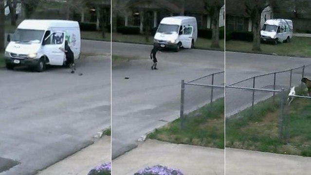 Ce conducteur n'aurait pas dû oublier de mettre le frein à main...