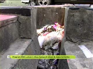 Program RM1 untuk 1 tikus hanya di lokasi & masa tertentu