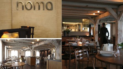 Noma : Découvrez le meilleur restaurant du monde