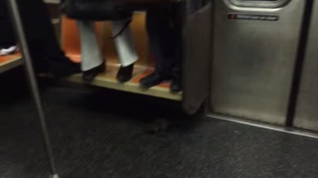 Un rat sème la panique dans le métro de New York