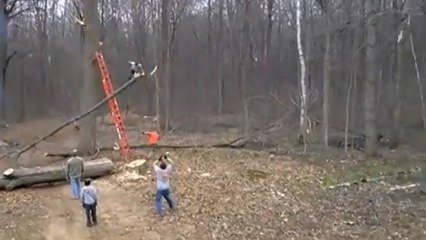 Ce bûcheron a frôlé la mort à cause d'une branche d'arbre !