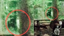 Angleterre : Elles campent dans la forêt et prennent le fantôme d'un enfant en photo