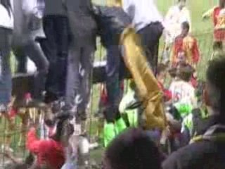 Embrouille !! Tigers sont chauds !!