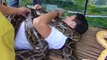 Philippines : dans ce zoo, les visiteurs se font masser par des pythons birmans