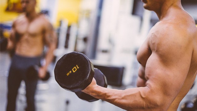 Qu'est-ce que les phases de contractions concentriques, excentriques et isométriques ?