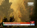 Taman Negara Yosemite terbakar