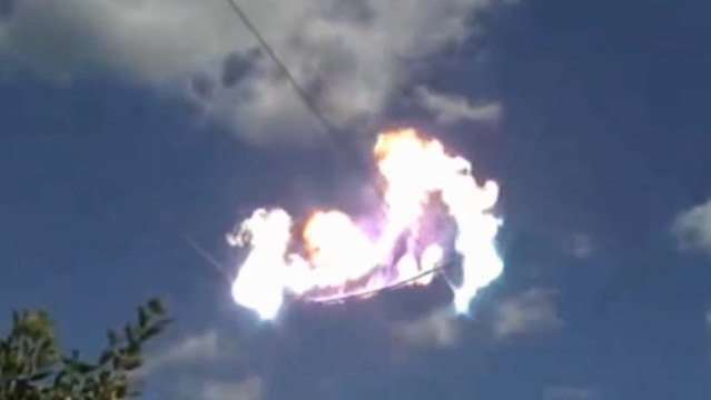 Au contact de lignes à haute tension, une branche part en fumée en quelques secondes