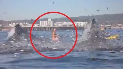 Cette surfeuse se fait presque avaler par une baleine !