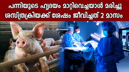 പന്നിയുടെ ഹൃദയം കൊണ്ട്‌ ജീവിച്ചത് രണ്ടുമാസം, ശേഷം മരണം | Oneindia Malayalam