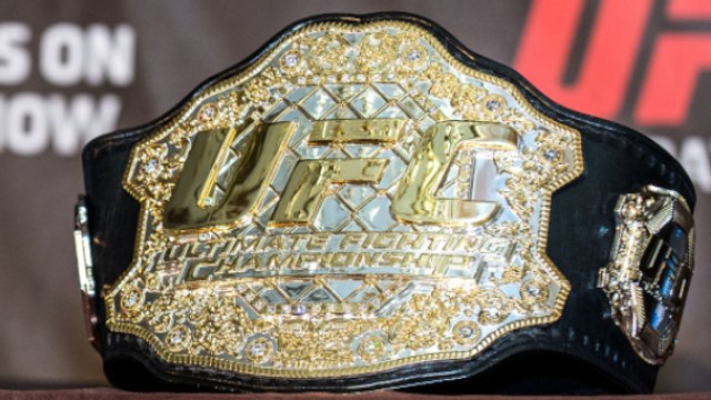 UFC : Jon Jones vs Anthony Smith et Tyron Woodley vs Kamaru Usman pour l'UFC 235