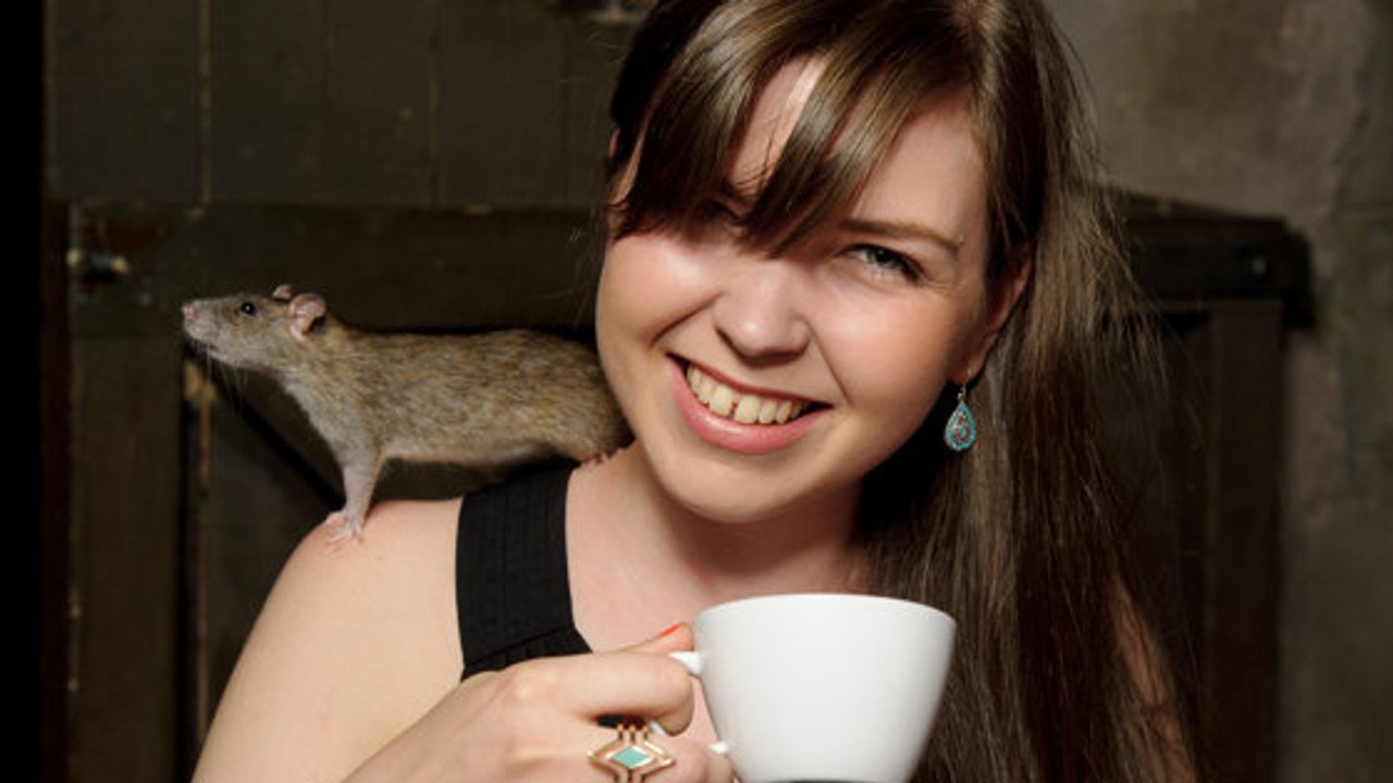 Angleterre : dans le café du London Dungeon, des rats vous tiennent compagnie