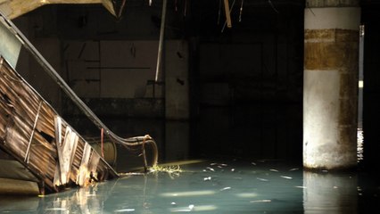 A Bangkok, ce centre commercial abandonné s'est transformé en aquarium géant