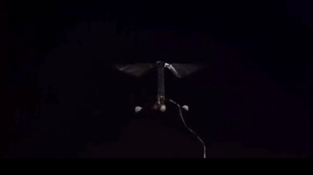 Le plus petit drone du monde pourrait remplacer les abeilles