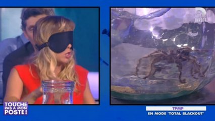 Touche pas à mon poste : Enora Malagré terrifiée en testant un jeu les yeux bandés